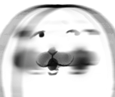 397202237