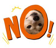 397202851