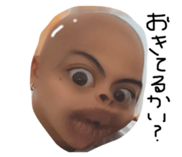 397215146