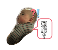 397273716
