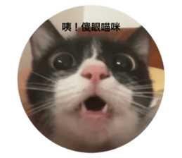 397289026