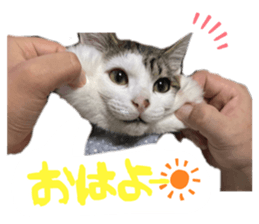 397330761