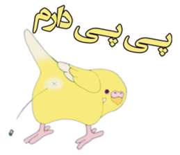397336894