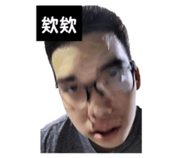 397371262