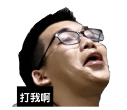 397371265