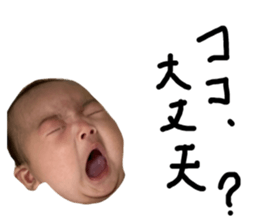 397378581