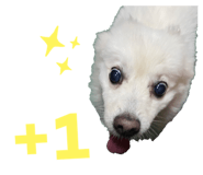 397452225