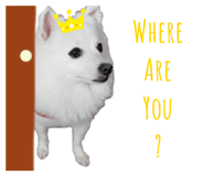 397452230