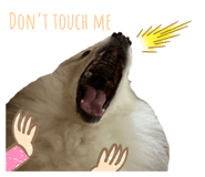397452250