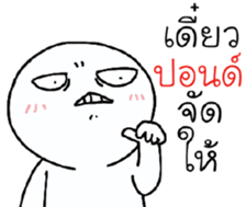 39747507
