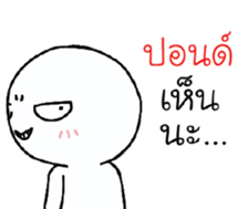 39747529