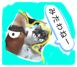 397510633