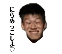 397525597