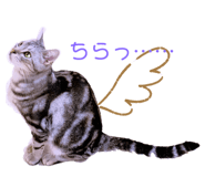 397589046