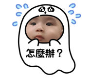 397647244