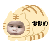 397647251
