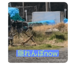 397753197