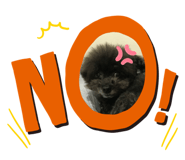 397763014
