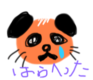 397769525