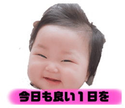397806012