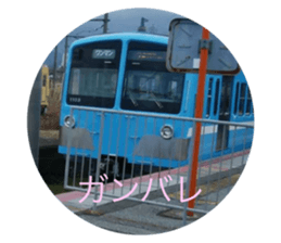397845036