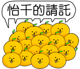 397854558