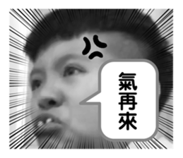 397903231