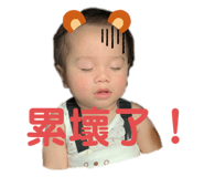 397936165