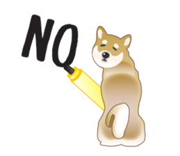 3980020