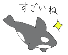 39801281