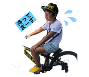 398029528