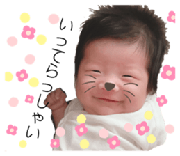 398044669