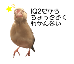 398044706