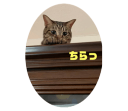 398077996