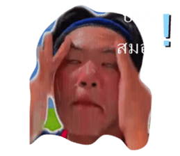 398080366