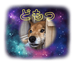 398081257
