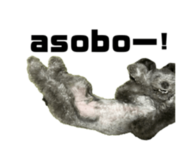 398103041