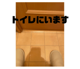 398109522