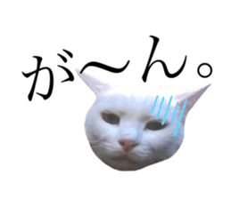 398116905