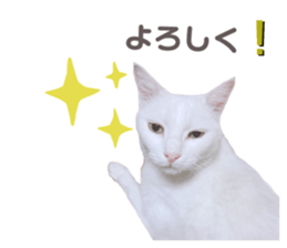398116915