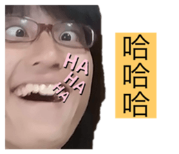 398120595