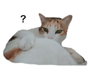 398140196