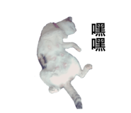 398140207
