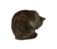 398140213