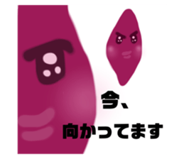 398164244