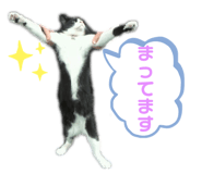 398206179