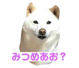 398409708