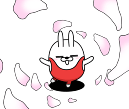 398455672