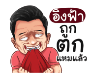398592072