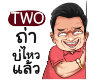 398592954